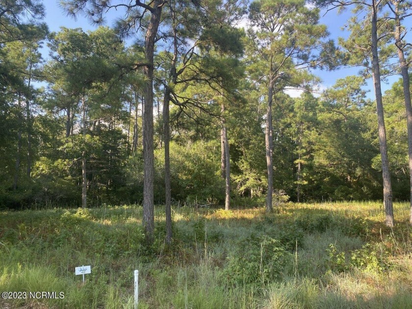 Build your dream home on a beautiful lot in a private, gated - Beach Lot for sale in Supply, North Carolina on Beachhouse.com