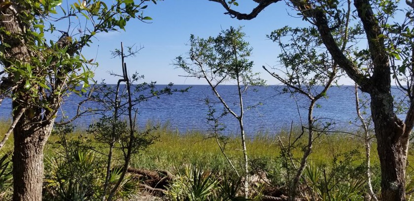Nice wooded Waterfront Lot overlooking Dog Island. Partially - Beach Lot for sale in Carabelle, Florida on Beachhouse.com