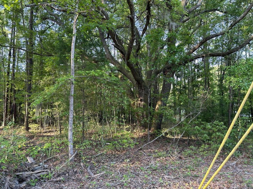 Wooded Acre lot just 30 min South of Charleston - 20 min to - Beach Lot for sale in Hollywood, South Carolina on Beachhouse.com