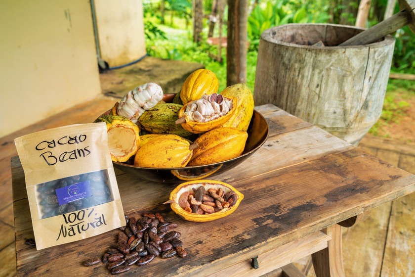 Exclusive Cacao Farm & Luxury Retreat in San Gerardo, Parrita - - Beach Home for sale in Parrita,  on Beachhouse.com