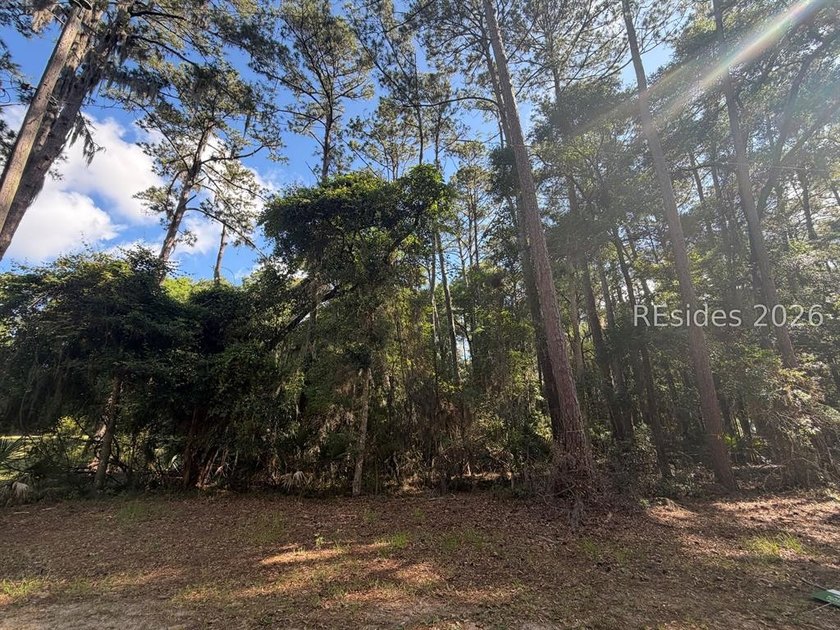 1/3 of an acre on Daufuskie Island with No HOA awaits! Live on - Beach Lot for sale in Daufuskie Island, South Carolina on Beachhouse.com