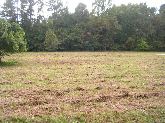 1.75 acres with access to  Chapel Creek.  Within minutes to - Beach Lot for sale in Hallieford, Virginia on Beachhouse.com