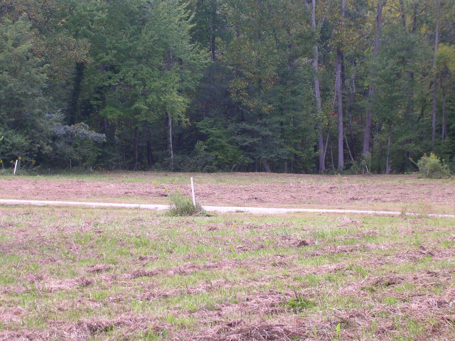 1 Acre  cleared ready to be built on.. access to Chapel Creek - Beach Lot for sale in Hallieford, Virginia on Beachhouse.com