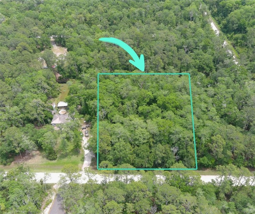 Discover a rare opportunity to own over an acre of untouched - Beach Lot for sale in Bunnell, Florida on Beachhouse.com