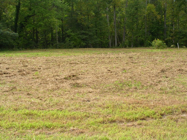 1 Acre parcel with Chapel Creek Access.  Within minutes to - Beach Lot for sale in Hallieford, Virginia on Beachhouse.com