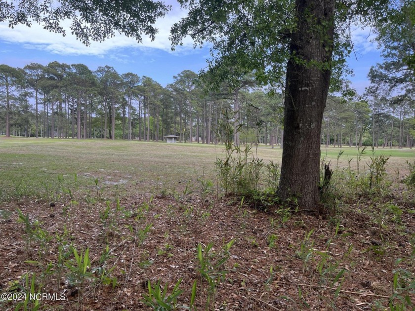 Build your new home on this wooded property in Lake Minnesott - Beach Lot for sale in Minnesott Beach, North Carolina on Beachhouse.com