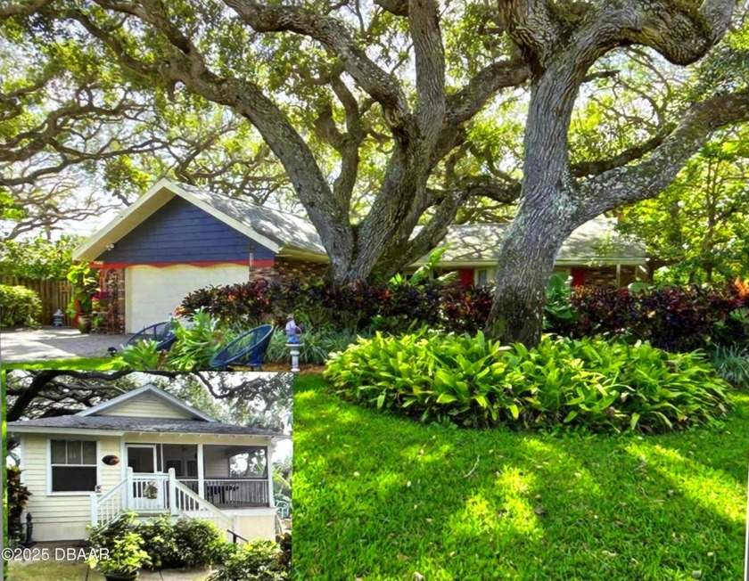 ELEVATED COTTAGE and MAIN HOUSE NEVER FLOODED from CANAL waters - Beach Home for sale in New Smyrna Beach, Florida on Beachhouse.com