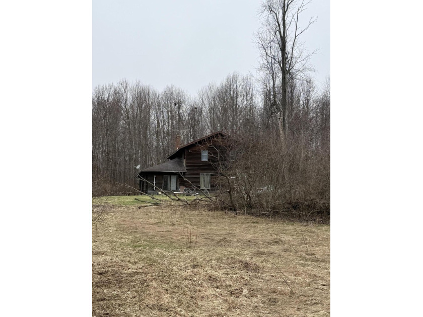 Escape the city and discover your own private retreat in - Beach Home for sale in Eau Claire, Michigan on Beachhouse.com