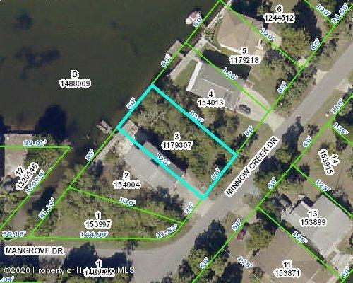 Direct access lot on Hernando Beach with a great view of the - Beach Lot for sale in Hernando Beach, Florida on Beachhouse.com