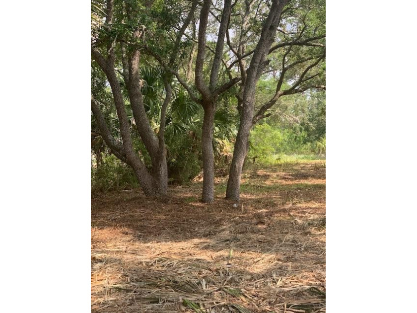 Two Beautiful lots in MCKISSACK BEACH.  Very quiet neighborhood - Beach Lot for sale in Carabelle, Florida on Beachhouse.com