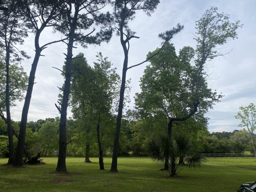 Large wooded homesite just 10 minutes from the beach, state park - Beach Lot for sale in Edisto Island, South Carolina on Beachhouse.com