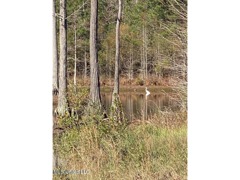 This beautiful 115 acres piece of property is bordered on the - Beach Acreage for sale in Gulfport, Mississippi on Beachhouse.com