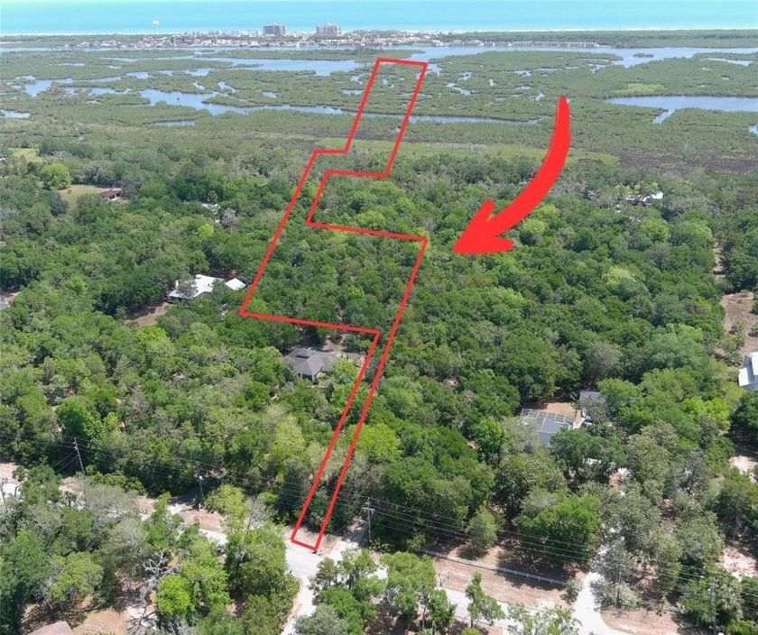 Discover the perfect place to build your dream home--just - Beach Acreage for sale in Flagler Beach, Florida on Beachhouse.com