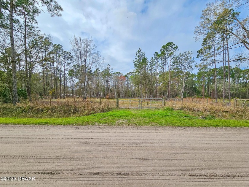 Located just minutes from Bull Creek Campground, this spacious - Beach Lot for sale in Bunnell, Florida on Beachhouse.com