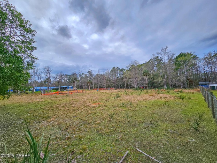 Located just minutes from Bull Creek Campground, this spacious - Beach Lot for sale in Bunnell, Florida on Beachhouse.com