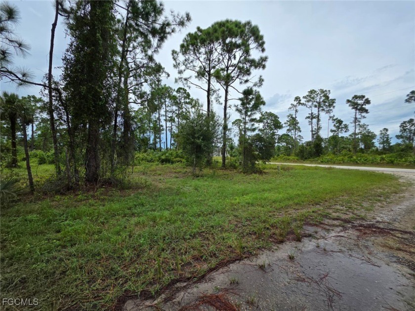 This 0.30-acres, Oversized lot, offers ample space to build your - Beach Lot for sale in Lehigh Acres, Florida on Beachhouse.com