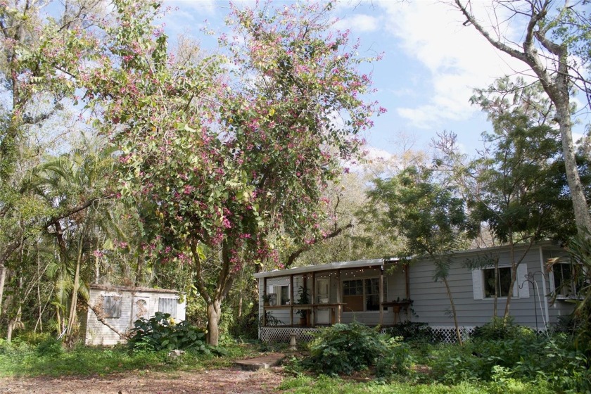 This property is all about the land with a BONUS of a potential - Beach Home for sale in Ruskin, Florida on Beachhouse.com