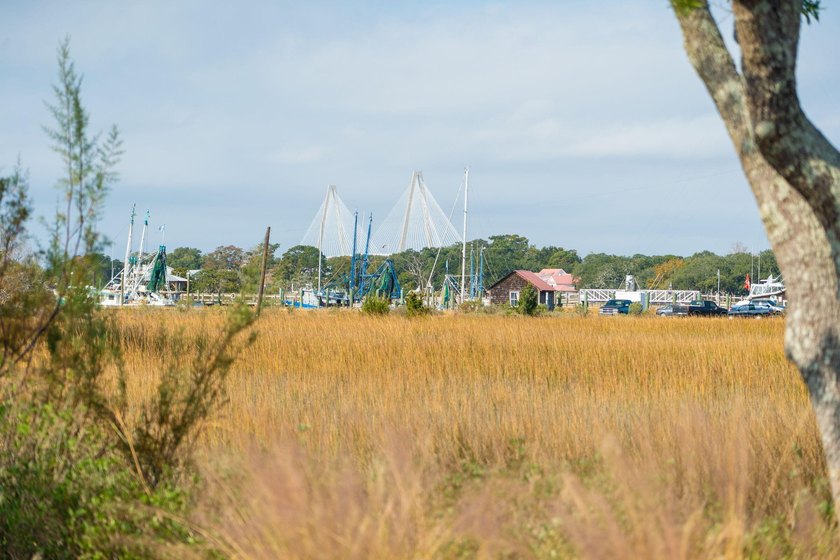 212 Live Oak Drive offers a rare opportunity to live marsh-front - Beach Home for sale in Mount Pleasant, South Carolina on Beachhouse.com