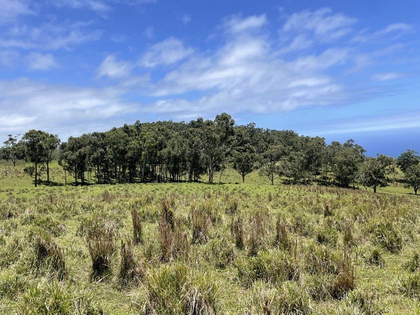 Panoramic commanding coastal ocean and mountain views from - Beach Acreage for sale in Naalehu, Hawaii on Beachhouse.com