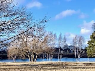 Now this is the last vacant 2 acres of the Thunder Bay River - Beach Lot for sale in Alpena, Michigan on Beachhouse.com