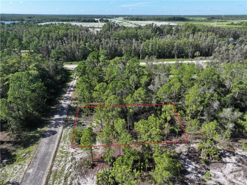 SELLER FINANCING OFFERED! Affordable, buildable lot just minutes - Beach Lot for sale in Lehigh Acres, Florida on Beachhouse.com