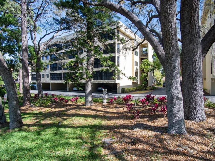 HIGH AND DRY!   This tastefully modernized, and FULLY FURNISHED - Beach Condo for sale in Tarpon Springs, Florida on Beachhouse.com