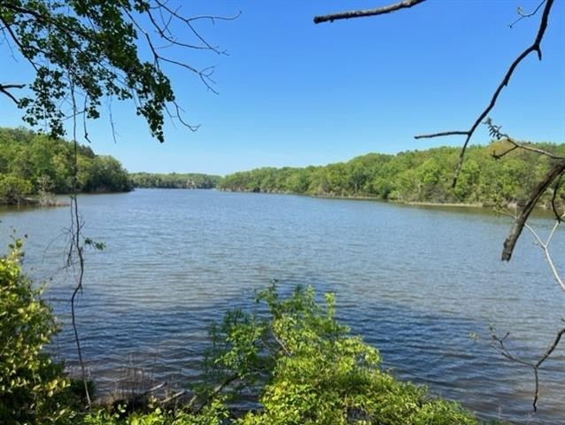 4.5 wooded acres of waterfront on the Coan River in Lottsburg - Beach Lot for sale in Heathsville, Virginia on Beachhouse.com