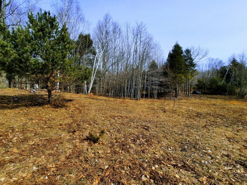 Improved Land on 3.45 ACRES in the desirable Portage Ridge - Beach Acreage for sale in Onekama, Michigan on Beachhouse.com