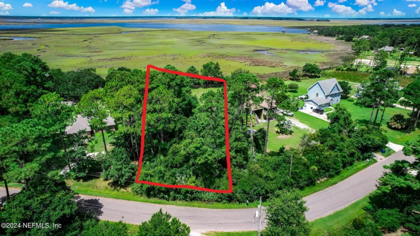 Here is your chance to create your own dream estate that over - Beach Lot for sale in Jacksonville, Florida on Beachhouse.com