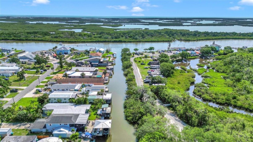 DIRECT ACCESS TO THE INTRACOASTAL!

Seller will contribute to - Beach Home for sale in New Smyrna Beach, Florida on Beachhouse.com