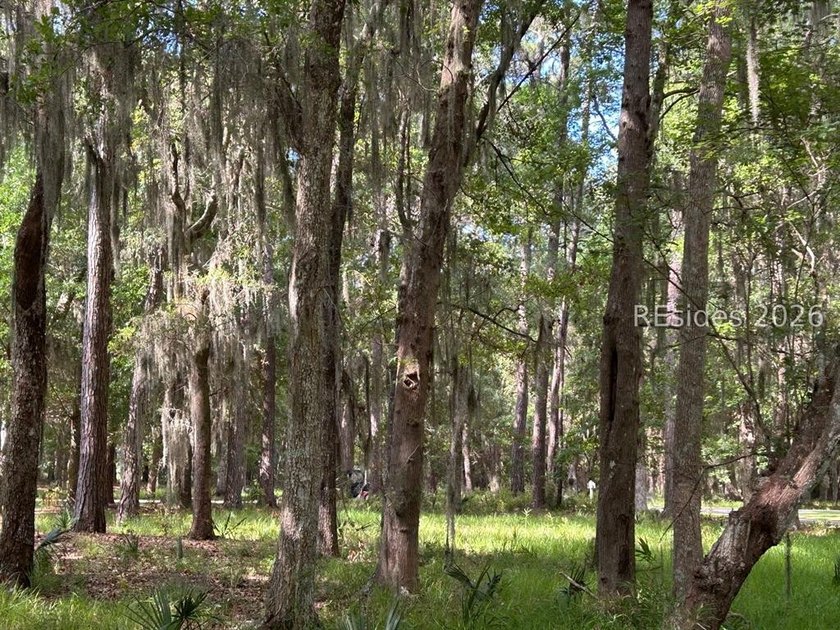 Highlighted by large Oaks and overlooking Lake Best in Melrose - Beach Lot for sale in Daufuskie Island, South Carolina on Beachhouse.com