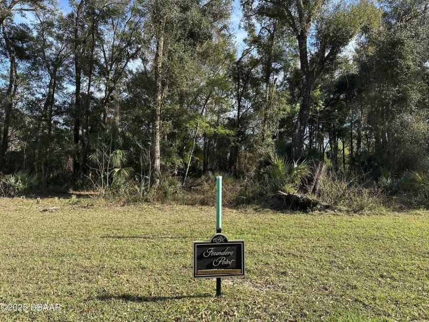 Nestled in a prestigious gated community just minutes from - Beach Lot for sale in Port Orange, Florida on Beachhouse.com