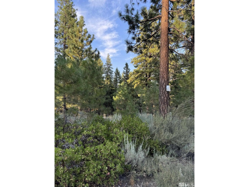 1.36 Acre Wooded Lot adjacent to Intermittent Stream. Utilities - Beach Lot for sale in Reno, Nevada on Beachhouse.com