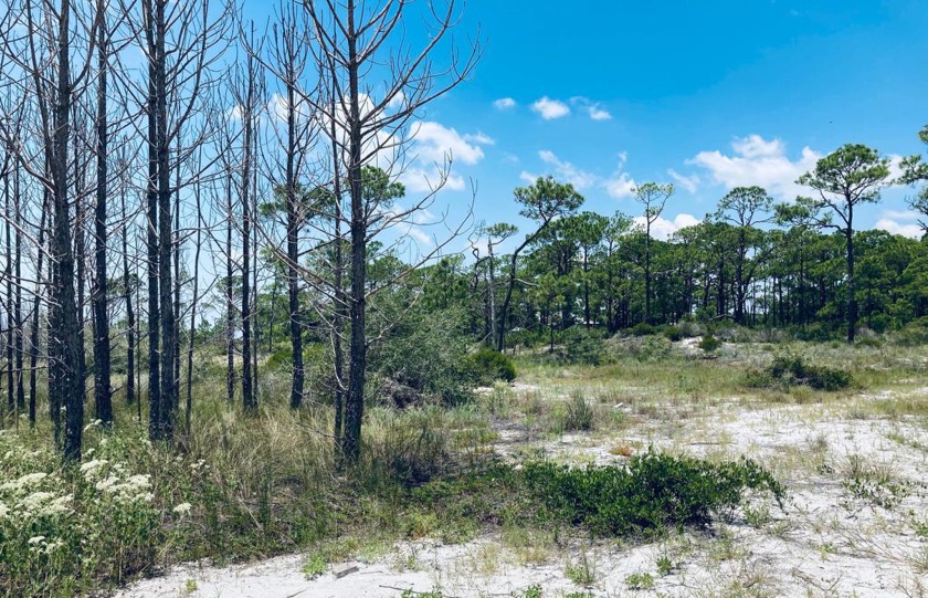 Build your island getaway on this lot with easy access to the - Beach Lot for sale in Carabelle, Florida on Beachhouse.com