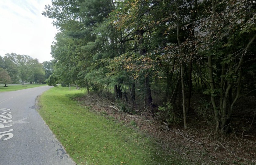 THIS LOT IS RESERVED!! Scandinavian-Inspired Living Near the - Beach Lot for sale in Douglas, Michigan on Beachhouse.com