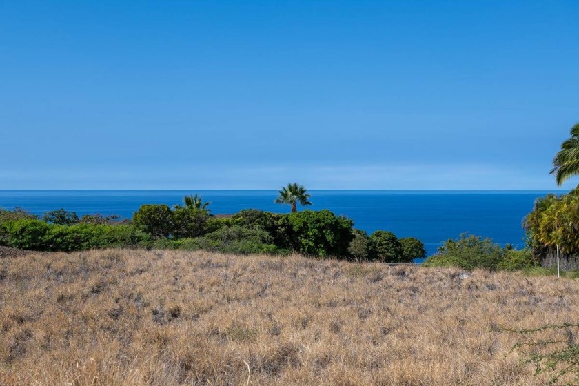 Build your dream home on this spectacular ocean view 1.36 acre - Beach Lot for sale in Kapaau, Hawaii on Beachhouse.com