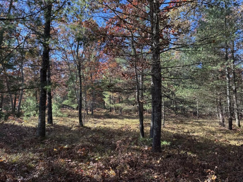 Discover your North at Legacy Preserve, a new land development - Beach Lot for sale in Free Soil, Michigan on Beachhouse.com