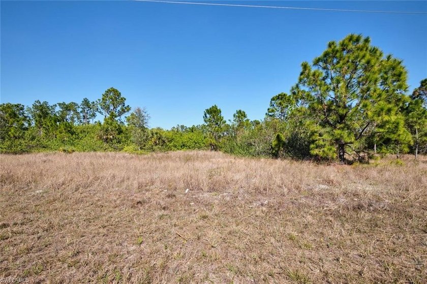 Discover the perfect opportunity with this prime LOT! Lot is Dry - Beach Lot for sale in Lehigh Acres, Florida on Beachhouse.com
