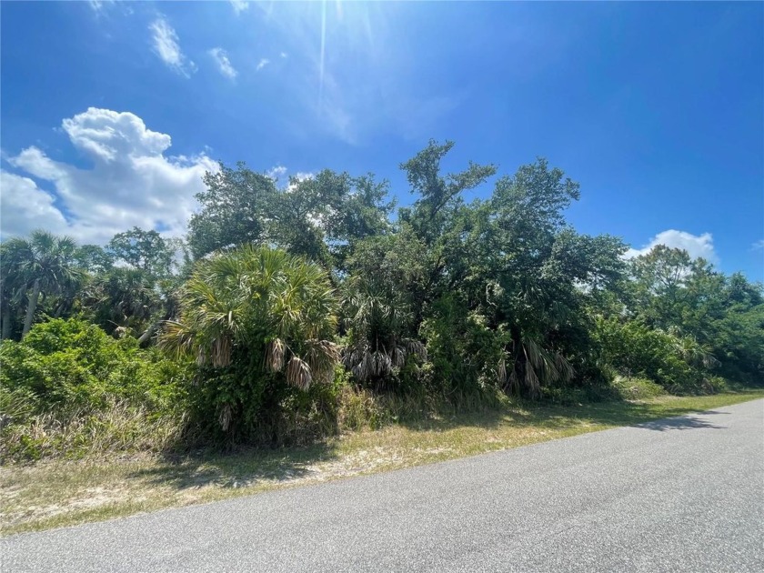 Welcome to your own slice of paradise in North Port, FL! This - Beach Lot for sale in North Port, Florida on Beachhouse.com