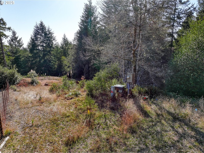 Sunny 1-acre lot with potential for ocean views! This property - Beach Lot for sale in Brookings, Oregon on Beachhouse.com