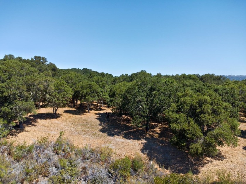 Located in the Mesa area of the Santa Lucia Preserve, this - Beach Acreage for sale in Carmel, California on Beachhouse.com
