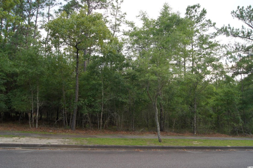 Welcome to Harmony Township and Riverfront amenities including a - Beach Lot for sale in Georgetown, South Carolina on Beachhouse.com