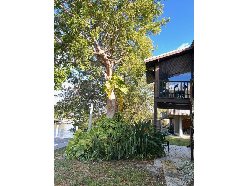WATERFRONT - On Chokoloskee Island, a boating and fishing - Beach Home for sale in Chokoloskee, Florida on Beachhouse.com