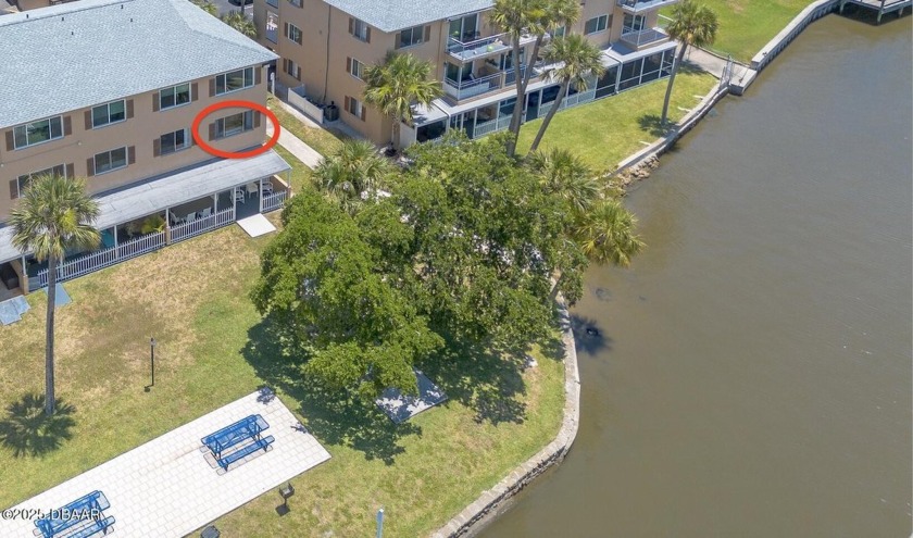 ***BACK ON MARKET - BUYER'S LOAN FELL THROUGH*** NEWLY RENOVATED - Beach Condo for sale in Daytona Beach, Florida on Beachhouse.com