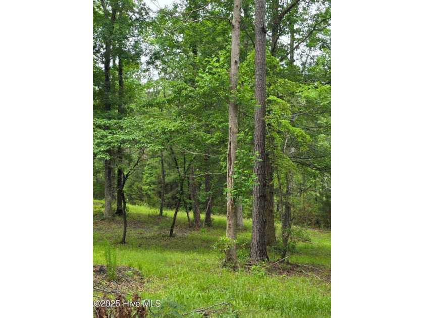 Discover the potential of 206 Yellow Fin Court, a remarkable 3 - Beach Acreage for sale in Sneads Ferry, North Carolina on Beachhouse.com