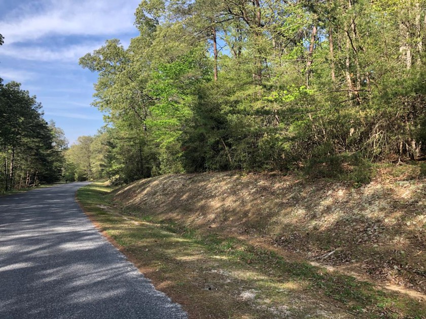 Wooded building site with access to the Great Wicomico River - Beach Lot for sale in Heathsville, Virginia on Beachhouse.com