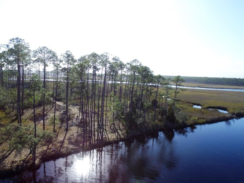This is Lot 9 in Black Bear Bayou. Black Bear Bayou is in a - Beach Lot for sale in Carabelle, Florida on Beachhouse.com