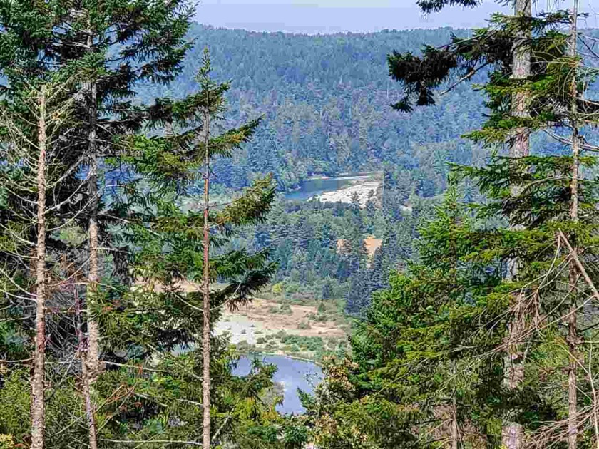 118.2 Acres! Rear find Large property w/ marketable trees & - Beach Lot for sale in Crescent City, California on Beachhouse.com