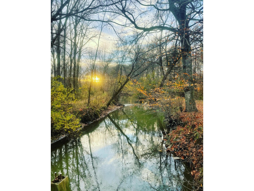 Rare Harbor Country 5-Acre Creekfront Estate - Buildable - Beach Acreage for sale in Three Oaks, Michigan on Beachhouse.com