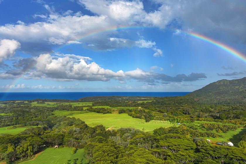 Experience unparalleled luxury on this stunning 32-acre estate - Beach Acreage for sale in Kilauea, Hawaii on Beachhouse.com